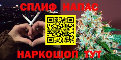 PSILOCYBIN Бугуруслан