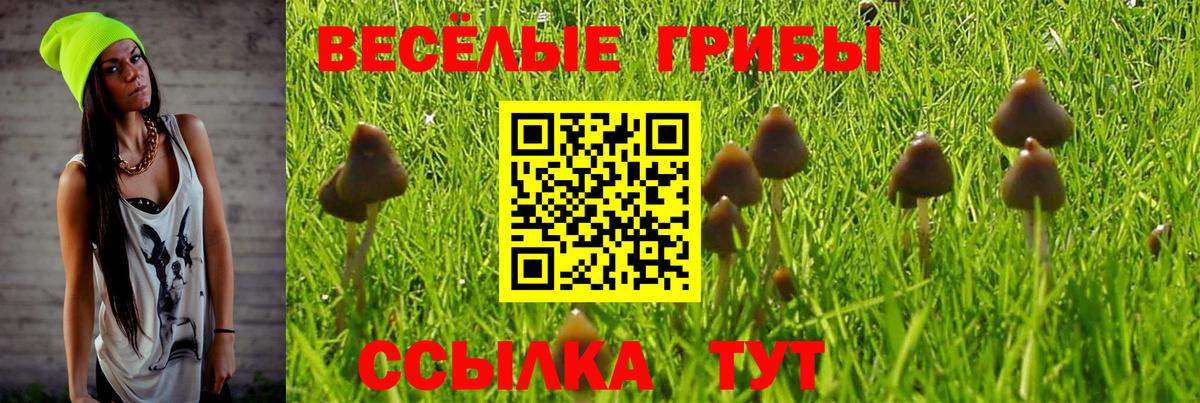 Псилоцибиновые грибы ЛСД Майкоп